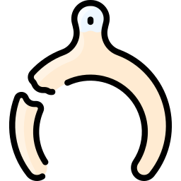 wishbone иконка