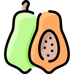 papaya icon