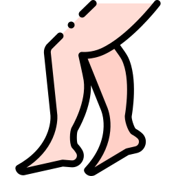 gambe icona