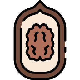 호두 icon