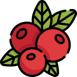 Berry icon