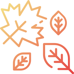 Dry leaves icon