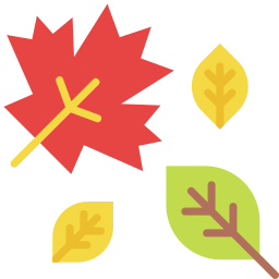 Dry leaves icon