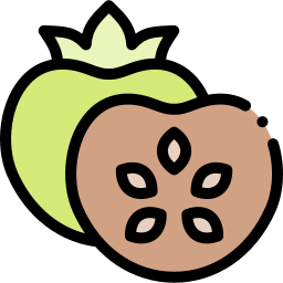 sapote ikona