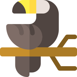 tucán icono