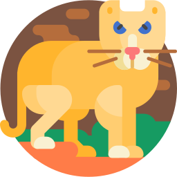 leona icono