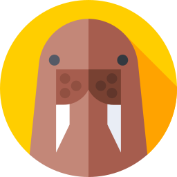 Walrus icon