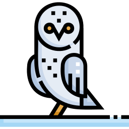 Snowy owl icon