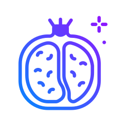 Pomegranate icon