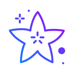 starfruit icon