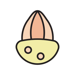 Almond icon