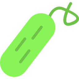 Cucumber icon