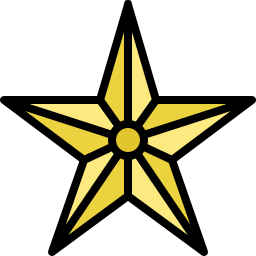 Christmas star icon