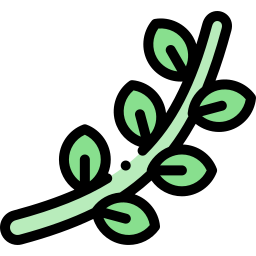 Leaf icon