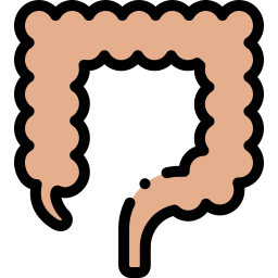 colon icono