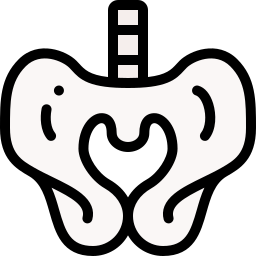 骨盤 icon