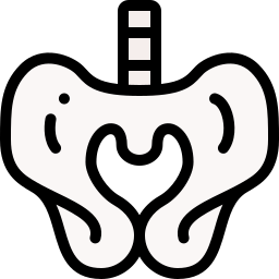 pelvis icono