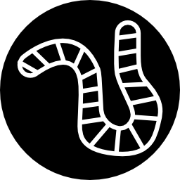 Worm outline inside a circle icon
