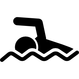 Person swimming icon