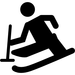 Paralympic skiing icon