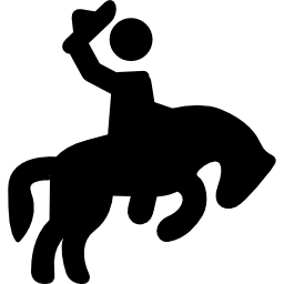 Rodeo icon