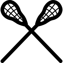 pareja de raquetas de lacrosse icono