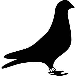 carreras de palomas icono
