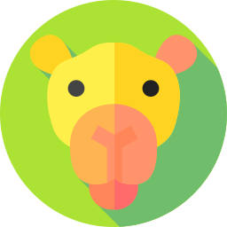 Camel icon