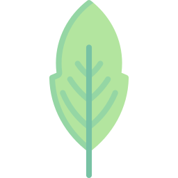 Leaf icon