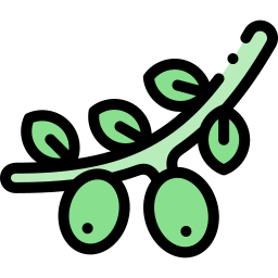 olivenbaum icon