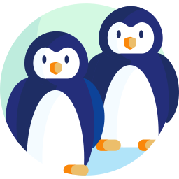 pinguin icon