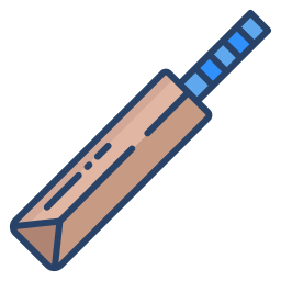 Cricket bat icon