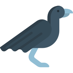 corvo Ícone