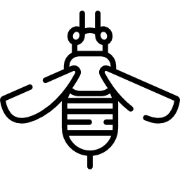 Bee icon