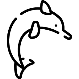 Dolphin icon