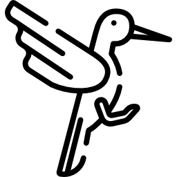 Колибри иконка