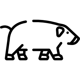 porc Icône