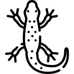 Salamander icon