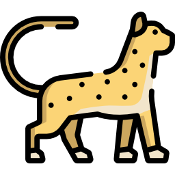 치타 icon