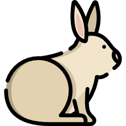 lapin Icône