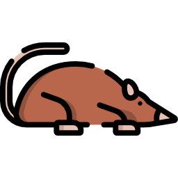 spitzmaus icon