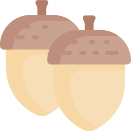 Acorn icon