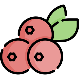 Berry icon