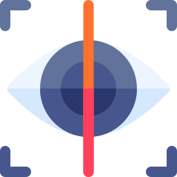 Iris recognition icon