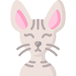 Cat icon