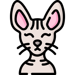 猫 icon