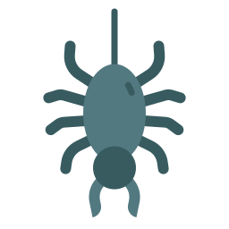 Spider icon