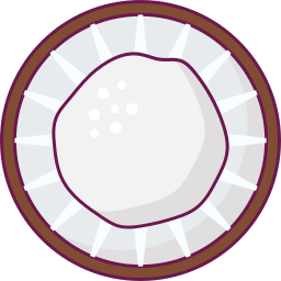 Coconut icon