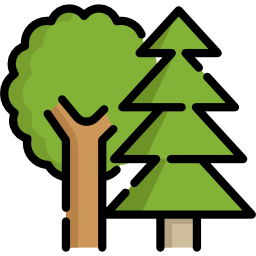 Trees icon