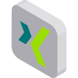 Xing icon